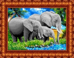 Канва для бисера КБЖ-3007 Слоны